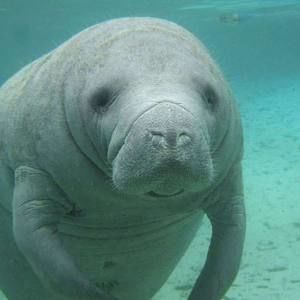 Meet your Posher, Dani